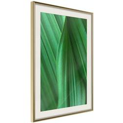 Arkiio Affisch Leaf Texture [Poster] 30x45 Poster